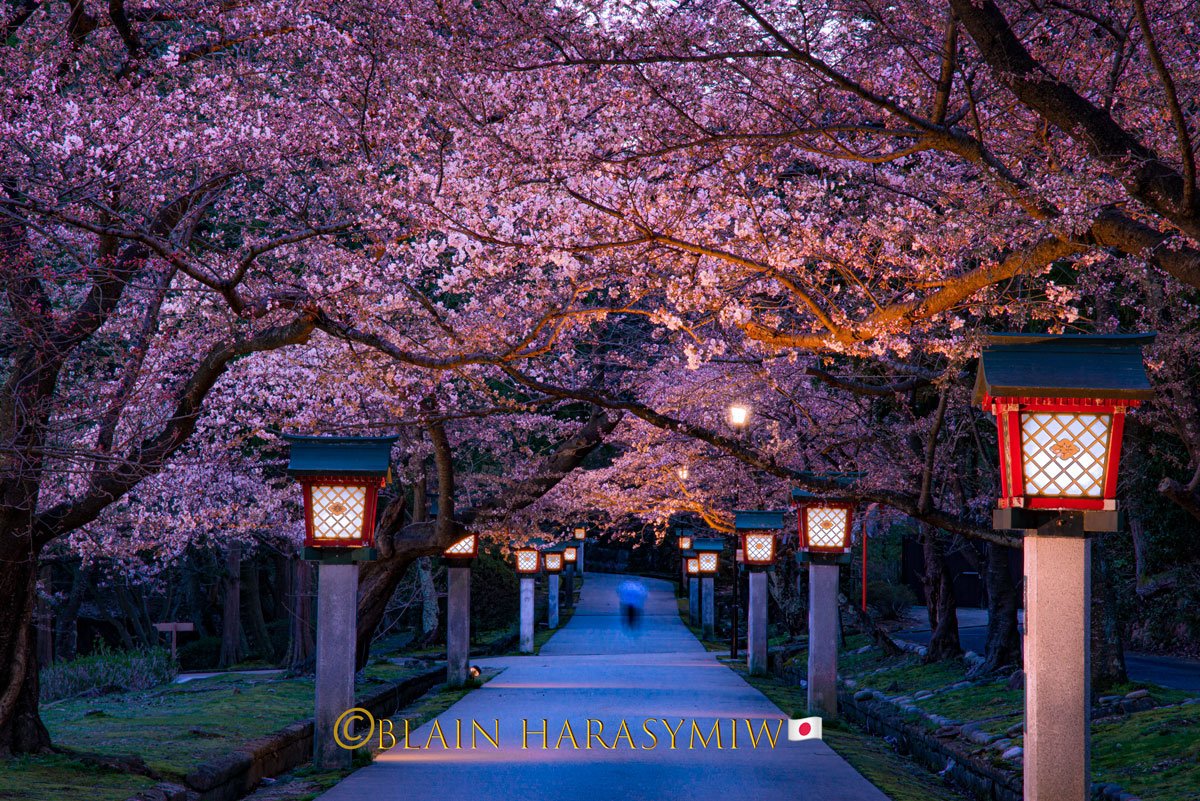 🌳 후지모리 공원 이미지 3